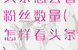 头条怎么看粉丝数量(怎样看头条)