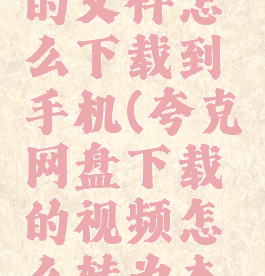 夸克网盘的文件怎么下载到手机(夸克网盘下载的视频怎么转为本地视频)