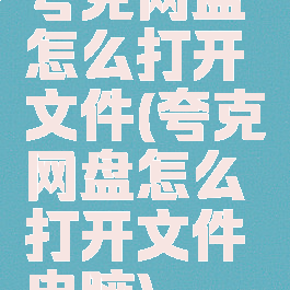 夸克网盘怎么打开文件(夸克网盘怎么打开文件电脑)
