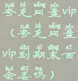 夸克网盘vip(夸克网盘vip到期东西会丢吗)