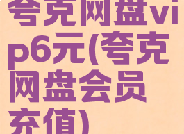 夸克网盘vip6元(夸克网盘会员充值)