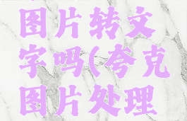 夸克可以图片转文字吗(夸克图片处理在哪里找)