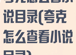 夸克怎么看小说目录(夸克怎么查看小说目录)