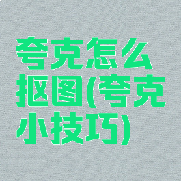 夸克怎么抠图(夸克小技巧)