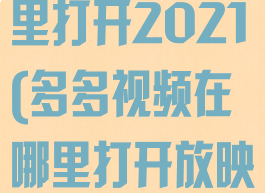 多多视频在哪里打开2021(多多视频在哪里打开放映厅语音)