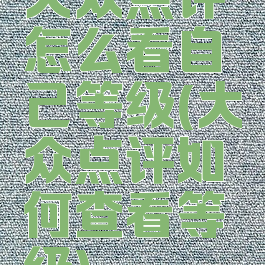 大众点评怎么看自己等级(大众点评如何查看等级)