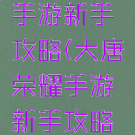 大唐荣耀手游新手攻略(大唐荣耀手游新手攻略大全)