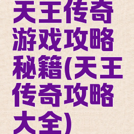 天王传奇游戏攻略秘籍(天王传奇攻略大全)
