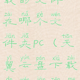 天翼云盘下载的文件在哪个文件夹pc(天翼云盘下载的文件怎么打开)