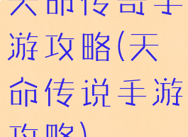 天命传奇手游攻略(天命传说手游攻略)