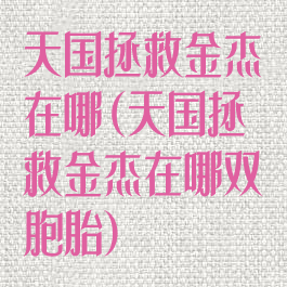 天国拯救金杰在哪(天国拯救金杰在哪双胞胎)