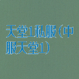 天堂1私服(中服天堂1)