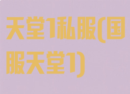 天堂1私服(国服天堂1)