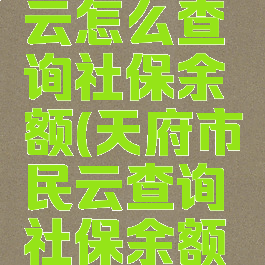 天府市民云怎么查询社保余额(天府市民云查询社保余额怎么查)