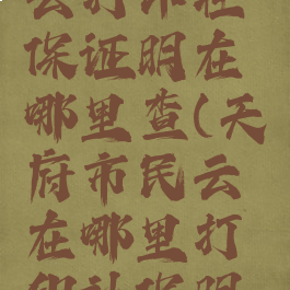 天府市民云打印社保证明在哪里查(天府市民云在哪里打印社保明细)