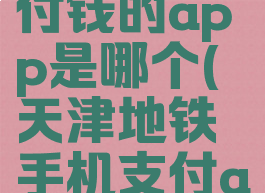 天津地铁付钱的app是哪个(天津地铁手机支付app叫什么)