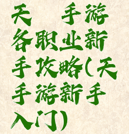 天谕手游各职业新手攻略(天谕手游新手入门)