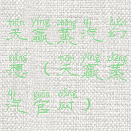 天赢蒸汽幻想(天赢蒸汽官网)