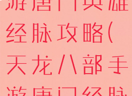 天龙八部手游唐门英雄经脉攻略(天龙八部手游唐门经脉指点)