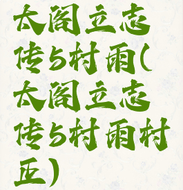太阁立志传5村雨(太阁立志传5村雨村正)