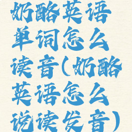 奶酪英语单词怎么读音(奶酪英语怎么说读发音)