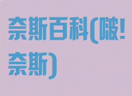 奈斯百科(啵!奈斯)