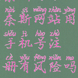 奈斯网站(奈斯网站用手机号注册有风险吗)