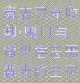 奥日与萤火意志灵光收割(奥日与萤火意志需要光的生灵)