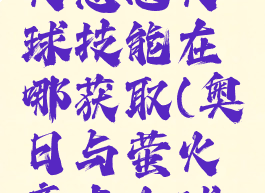 奥日与萤火意志火球技能在哪获取(奥日与萤火意志火球术)