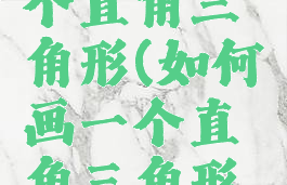 如何画一个直角三角形(如何画一个直角三角形的三条高)