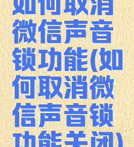 如何取消微信声音锁功能(如何取消微信声音锁功能关闭)