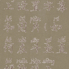 如何在斗鱼直播软件上设置字幕和图片(如何在斗鱼直播软件上设置字幕和图片)