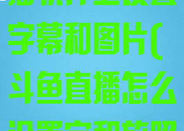 如何在斗鱼直播软件上设置字幕和图片(斗鱼直播怎么设置字和放照片)