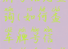 如何查车牌号信息查询(如何查车牌号信息查询车主信息)