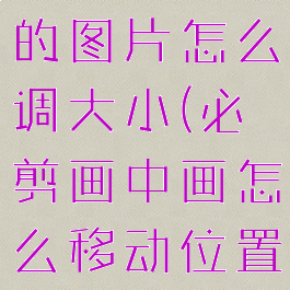 必剪画中画的图片怎么调大小(必剪画中画怎么移动位置)