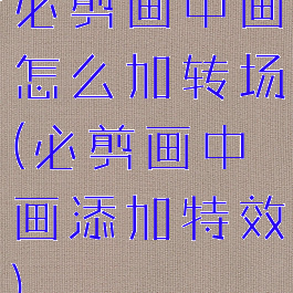 必剪画中画怎么加转场(必剪画中画添加特效)
