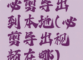 必剪导出到本地(必剪导出视频在哪)