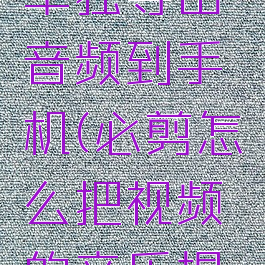 必剪怎么单独导出音频到手机(必剪怎么把视频的音乐提取出来的)