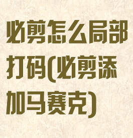 必剪怎么局部打码(必剪添加马赛克)