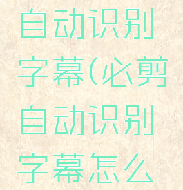 必剪怎么自动识别字幕(必剪自动识别字幕怎么调样式)