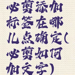 必剪添加标签在哪儿点确定(必剪如何加文字)