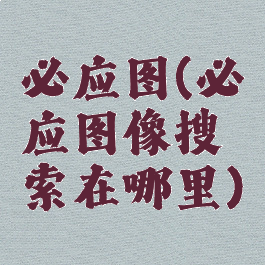 必应图(必应图像搜索在哪里)