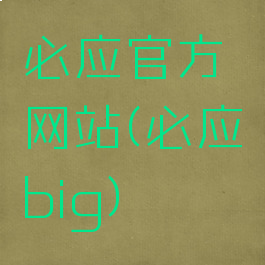 必应官方网站(必应big)