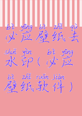 必应壁纸去水印(必应壁纸软件)