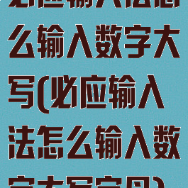 必应输入法怎么输入数字大写(必应输入法怎么输入数字大写字母)