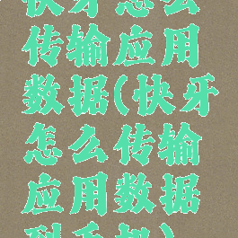 快牙怎么传输应用数据(快牙怎么传输应用数据到手机)