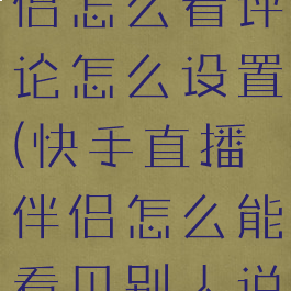 快手直播伴侣怎么看评论怎么设置(快手直播伴侣怎么能看见别人说话)