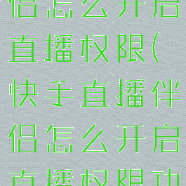 快手直播伴侣怎么开启直播权限(快手直播伴侣怎么开启直播权限功能)