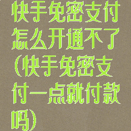 快手免密支付怎么开通不了(快手免密支付一点就付款吗)