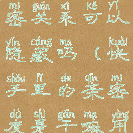 快手建立亲密关系可以隐藏吗(快手里的亲密度是干嘛用的)